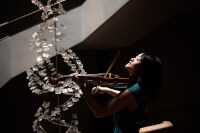 Logo for Precious Moment Violin Service
